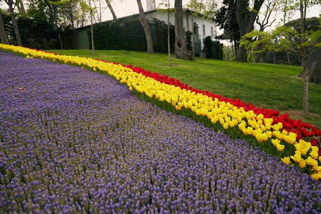 Lire la suite à propos de l’article Décoration extérieure : Aménager son jardin sur terrasse
